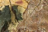 Polished Cherry Creek Jasper - China #326032-1